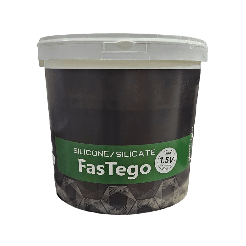 Pintocolor Fastego Silicone/Silicate