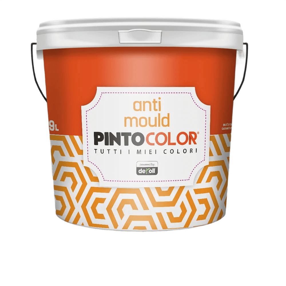 Pintocolor Anti Mould